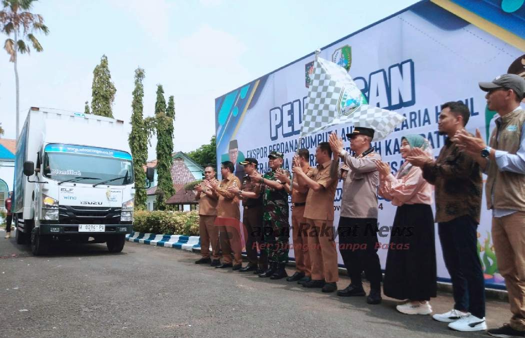 Emas Hijau dari Sampang! Rumput Laut 4 Ton Tembus Pasar Cina